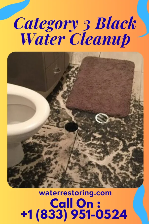 Category 3 Black Water Cleanup in Fairfield, NE